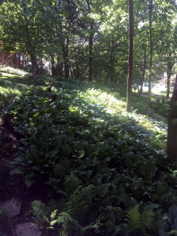 photo32.jpg