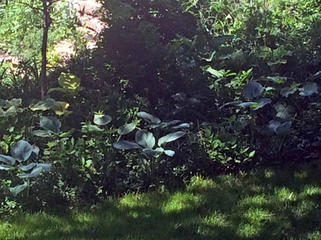 photo34.jpg